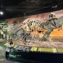 하고 | 고성 공룡엑스포 사전예매 하고 다녀온후기 퍼레이드 익룡쇼 비추!