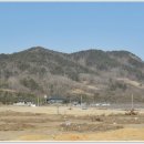 무릉도원 이미지