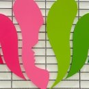 미지예피부과의원 이미지