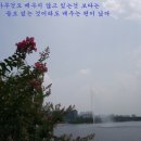 세네카