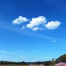 사랑과 기쁨 이미지