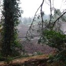 남원2리 이미지