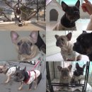 주희농장 이미지