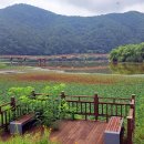 원남저수지 둘레길 이미지