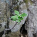 해시계 오락실 이미지