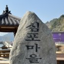 심포항 | 동백 만개한 금오도 비렁길 트레킹, 백패킹 후기