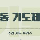 (주)동행브릿지 이미지