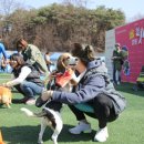 송암스포츠타운 보조경기장 이미지