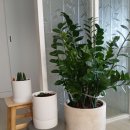 몸사랑 힐링샵 | 역삼동진힐링샵 진힐링샵에서 몸 풀고 온 솔직 후기!!