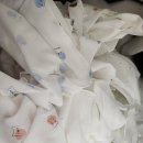 독도세탁 이미지