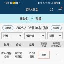 강릉월화 이미지