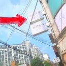 소피아쿠킹