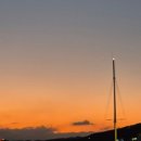 개미집 원조 이미지