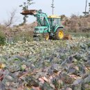 대정농업협동조합 농산물산지유통센터 이미지