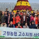 고수농협고수지점 이미지