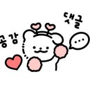 뷰티호텔286