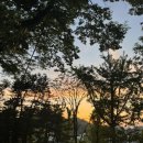 의료법인녹십자의료재단 녹십자의원 이미지