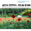승천천로 | 천안 천연 탄산수 승천사 승천약수 와 위드솔 카페 양귀비