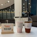 퍼피파라다이스 이미지