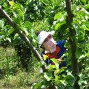 은식농장 이미지