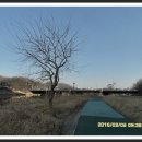 황새울로 이미지