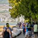 베스트국제여행사(주) 이미지