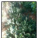 원농장1 이미지