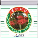 중앙로~물무로 네이버블로그