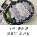 털보횟집 - 김해시 여래로20번길 6 | 부산 현지인의 해운대 회배달 회포장 맛집 털보횟집 모듬회 중자 솔직후기
