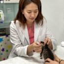 동서울동물병원 이미지