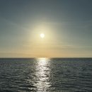 돌고래펜션민박 | [7월/제주] 3일차 김녕요트투어⛵️ 선셋투어 후기 낭만 끝판왕