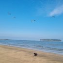 해변산책민박 이미지