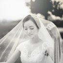 터치아트 이미지