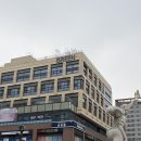 [시흥 배곧] 브라질리언 왁싱 찐!맛집 추천, '예슈리야뷰티 속눈썹&amp;왁싱'에서 브라질리언 왁싱 받은...