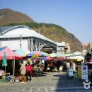 평창군 종합관광안내소 이미지