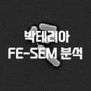 매치파인더