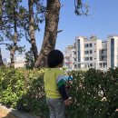 송정군식당 이미지