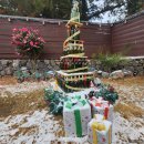 애월볕 | 제주 애월, 힐링 제대로 하고 온 애월볕 펜션 후기