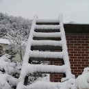 산골농원 이미지