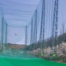 그린골프연습장(실외) 이미지