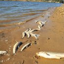 (유)금강환경 이미지