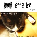 대구/계대 성서병원 네거리/5~6개월/턱시도 냥이 이미지