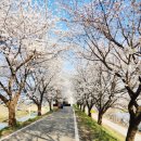 봉방천변길 이미지