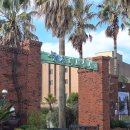 제주허브동산 | 제주 서귀포 가볼만한 곳 힐링 코스 족욕 후기 제주허브동산