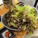 갈비창고1981(동암점) | 동암 갈비창고1981 소갈비 맛집 내돈내산 후기