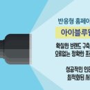 아이블루웹