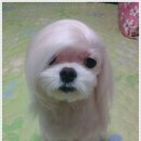 광명학교 이미지