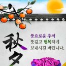 YMCA어린이집 이미지