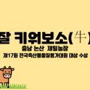 김용태농장 이미지