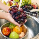 웰리브홀딩스 이미지